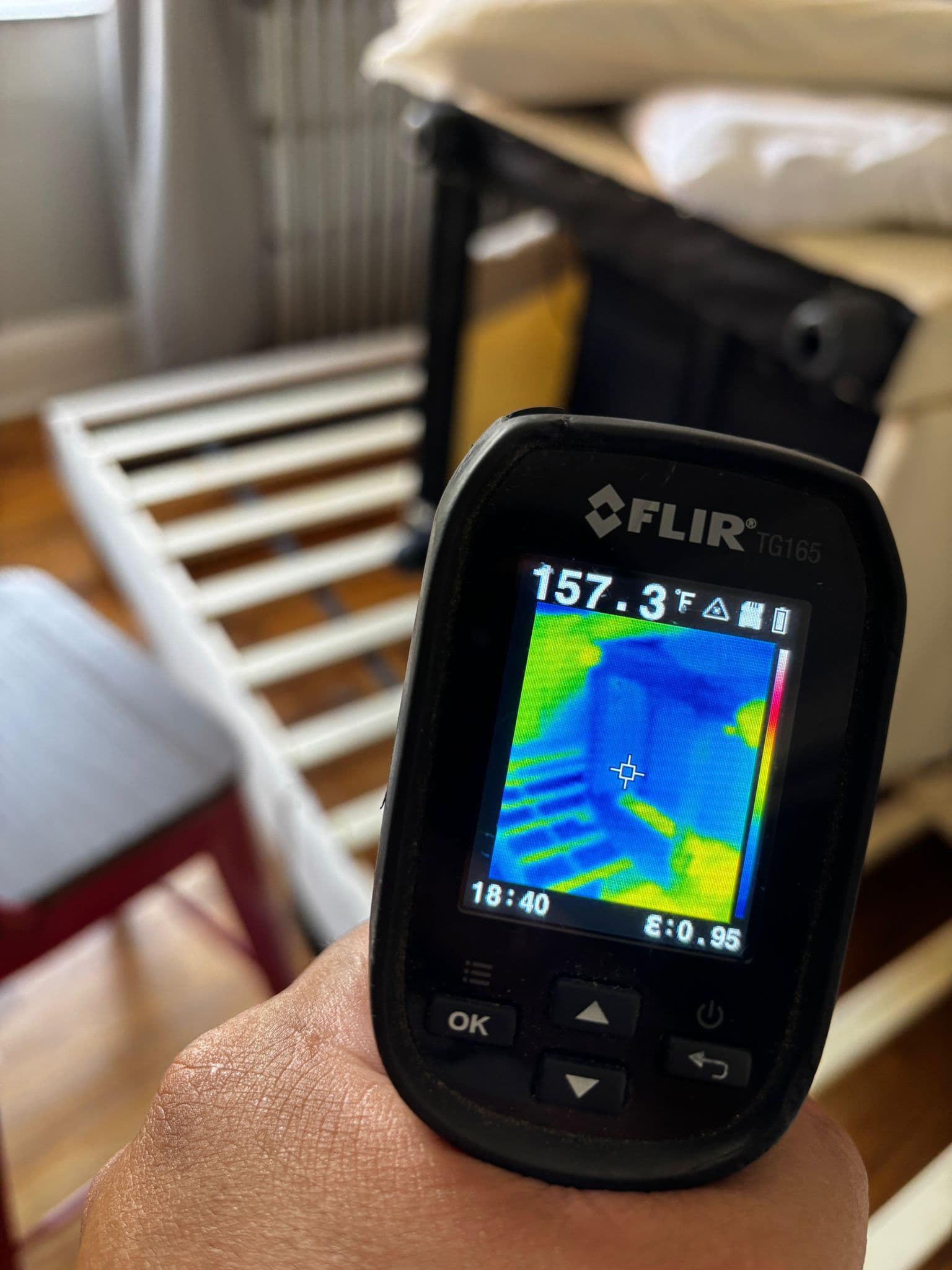 Guest photo from a Google review at BHT Pest Control Mississauga