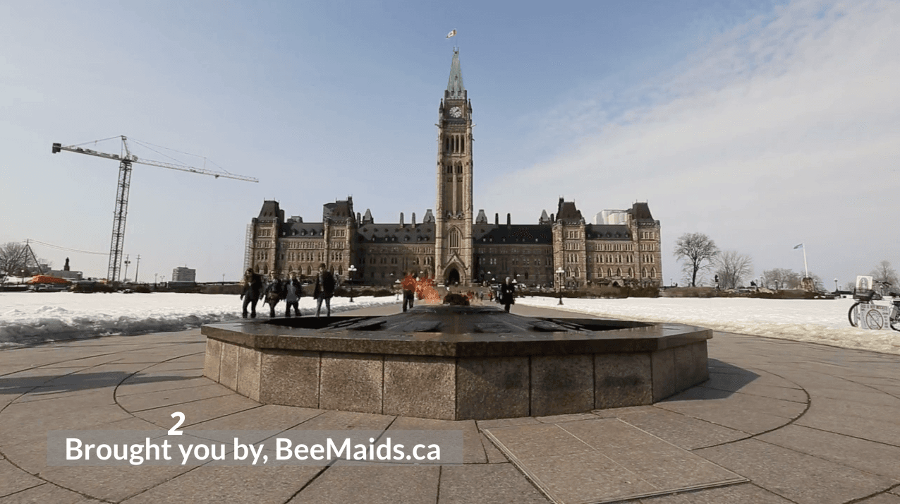 Guest photo from a Google review at BeeMaids.ca
