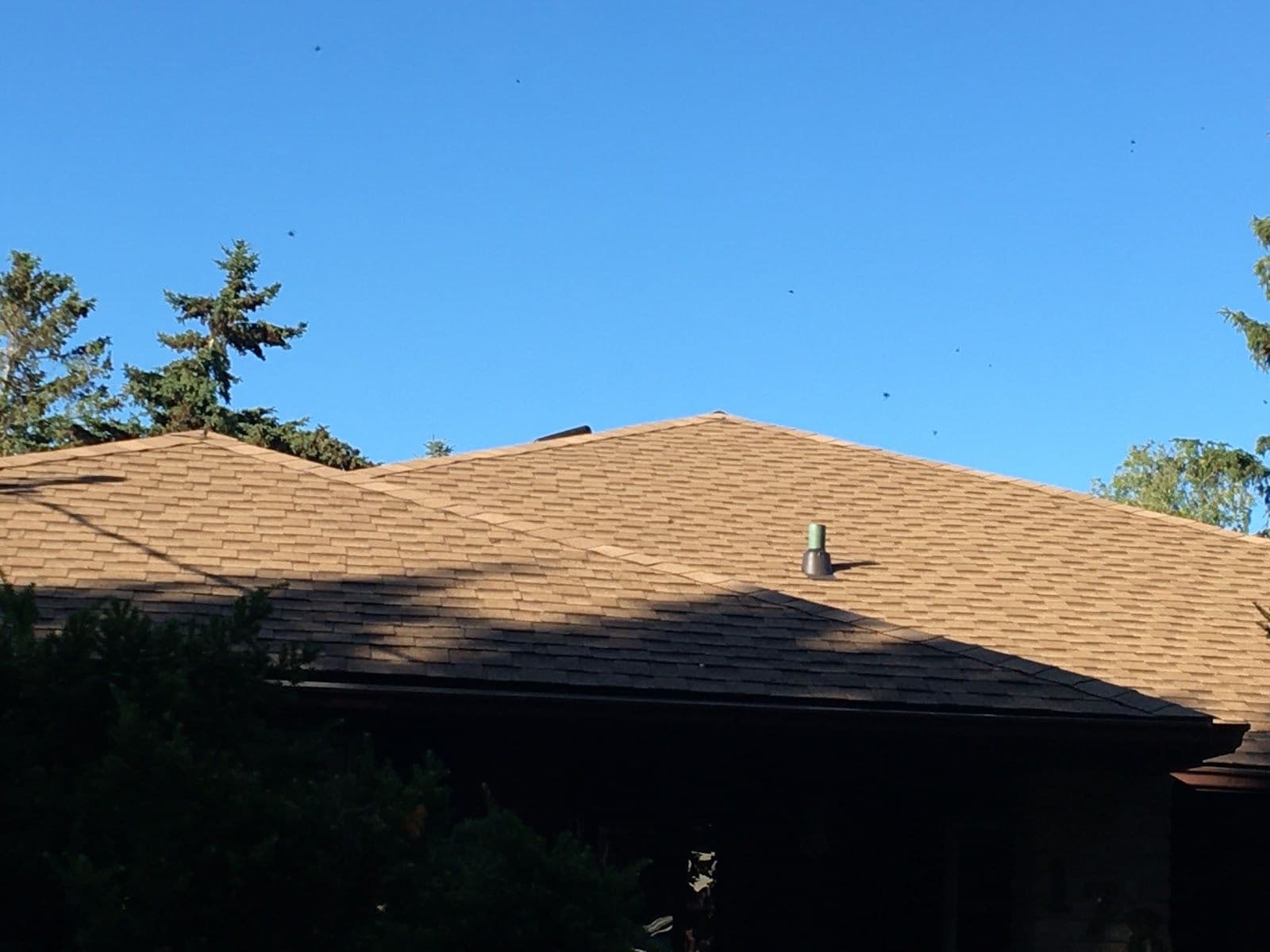 Another guest photo from a Google review at Brother's Roofing