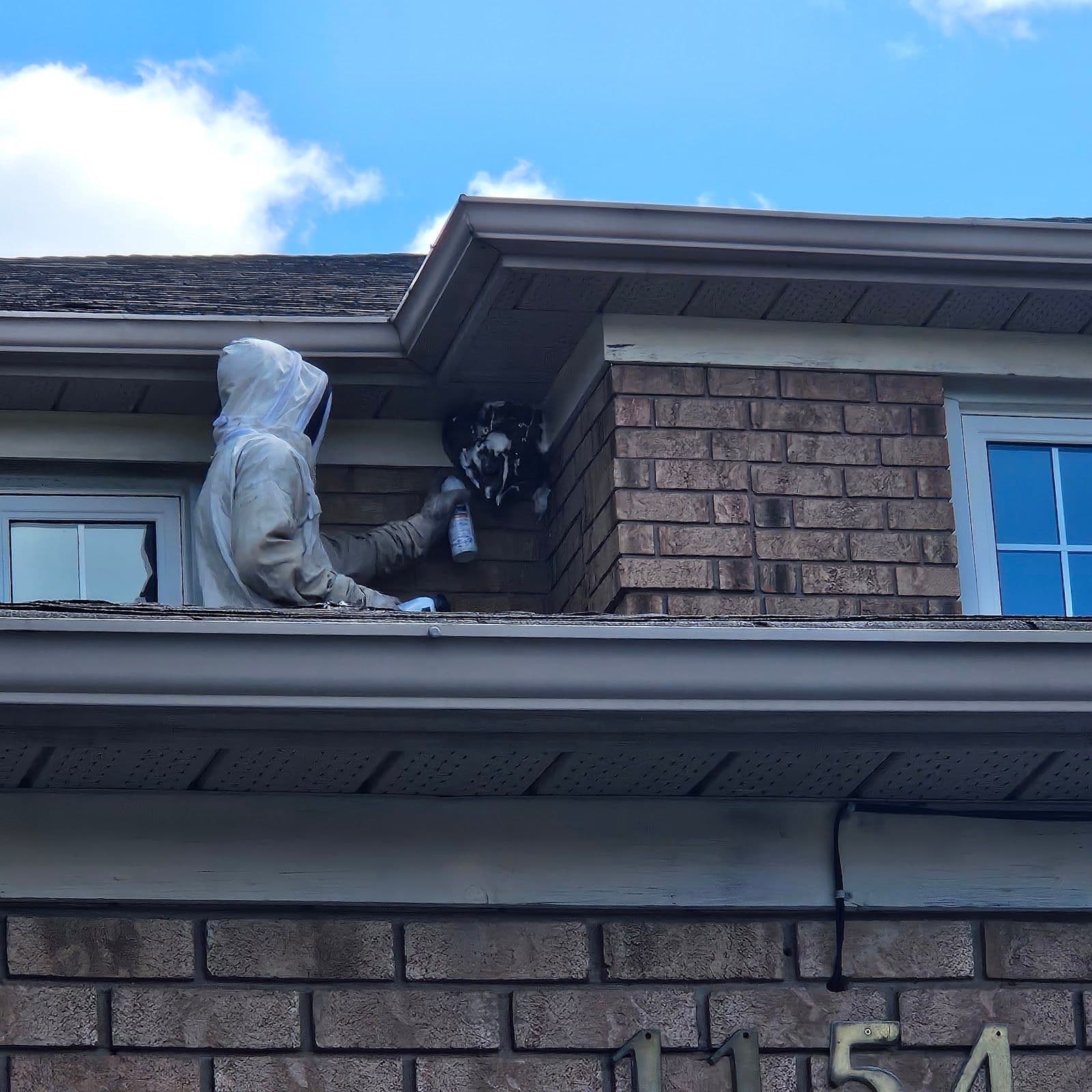 Guest photo from a Google review at 24HR Pest Control - (A Divison of Peel Pest Control Inc)