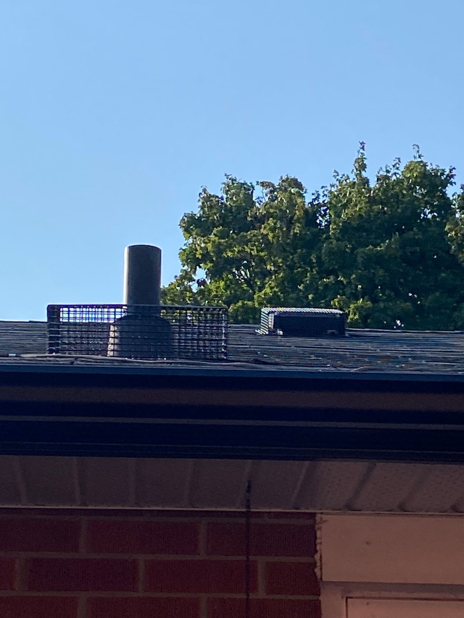 Another guest photo from a Google review at 24HR Pest Control - (A Divison of Peel Pest Control Inc)