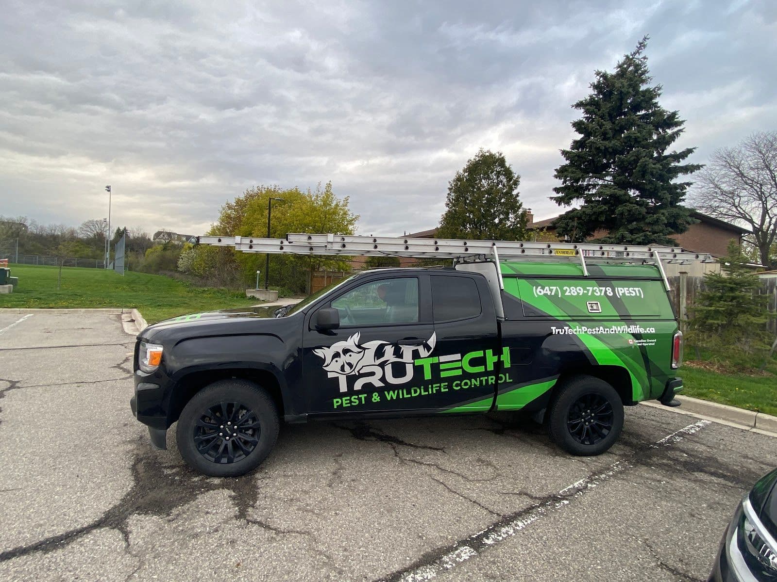 Guest photo from a Google review at TruTech Pest & Wildlife Control