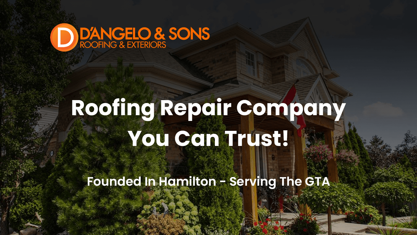 Guest photo from a Google review at D'Angelo and Sons Eavestrough and Roofing Mississauga