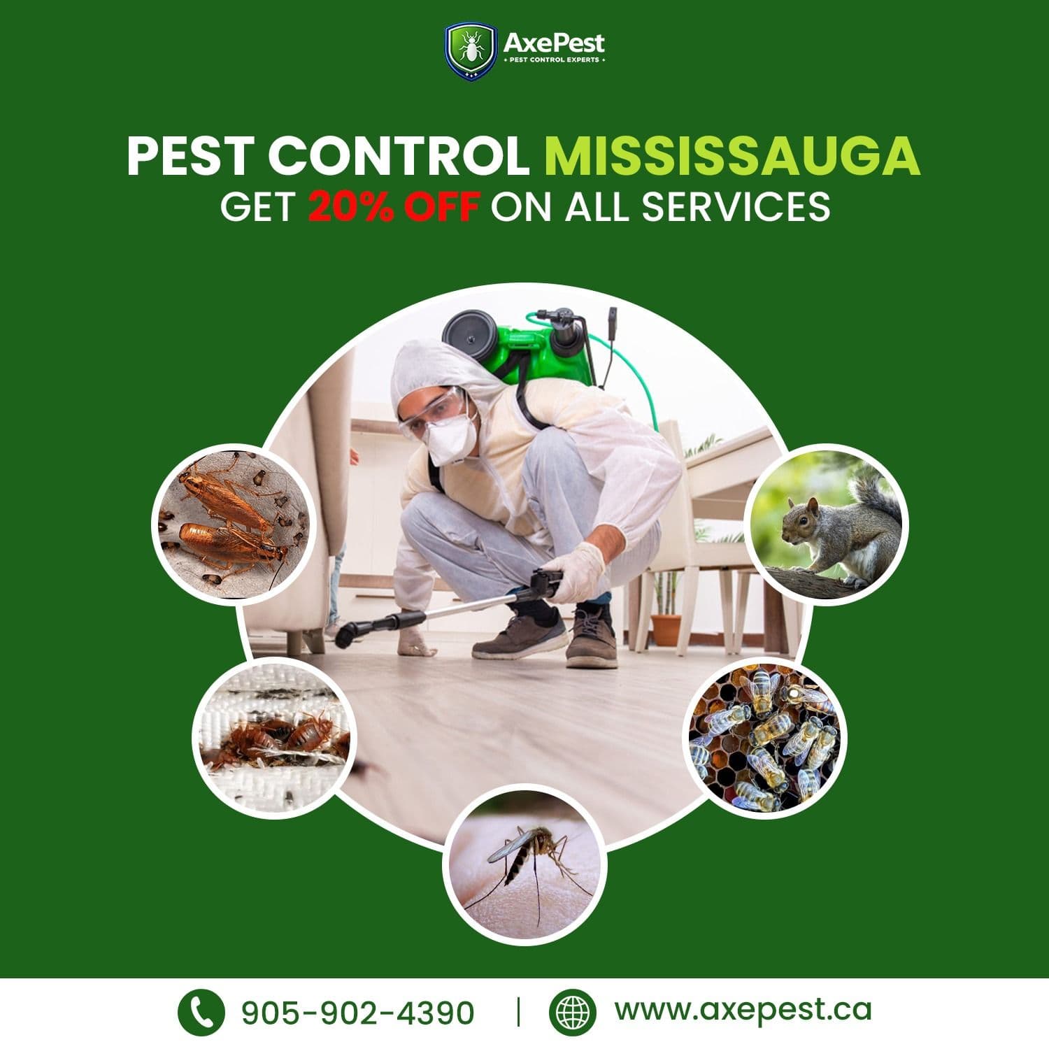 Another guest photo from a Google review at Axepest Canada - Pest Control Toronto