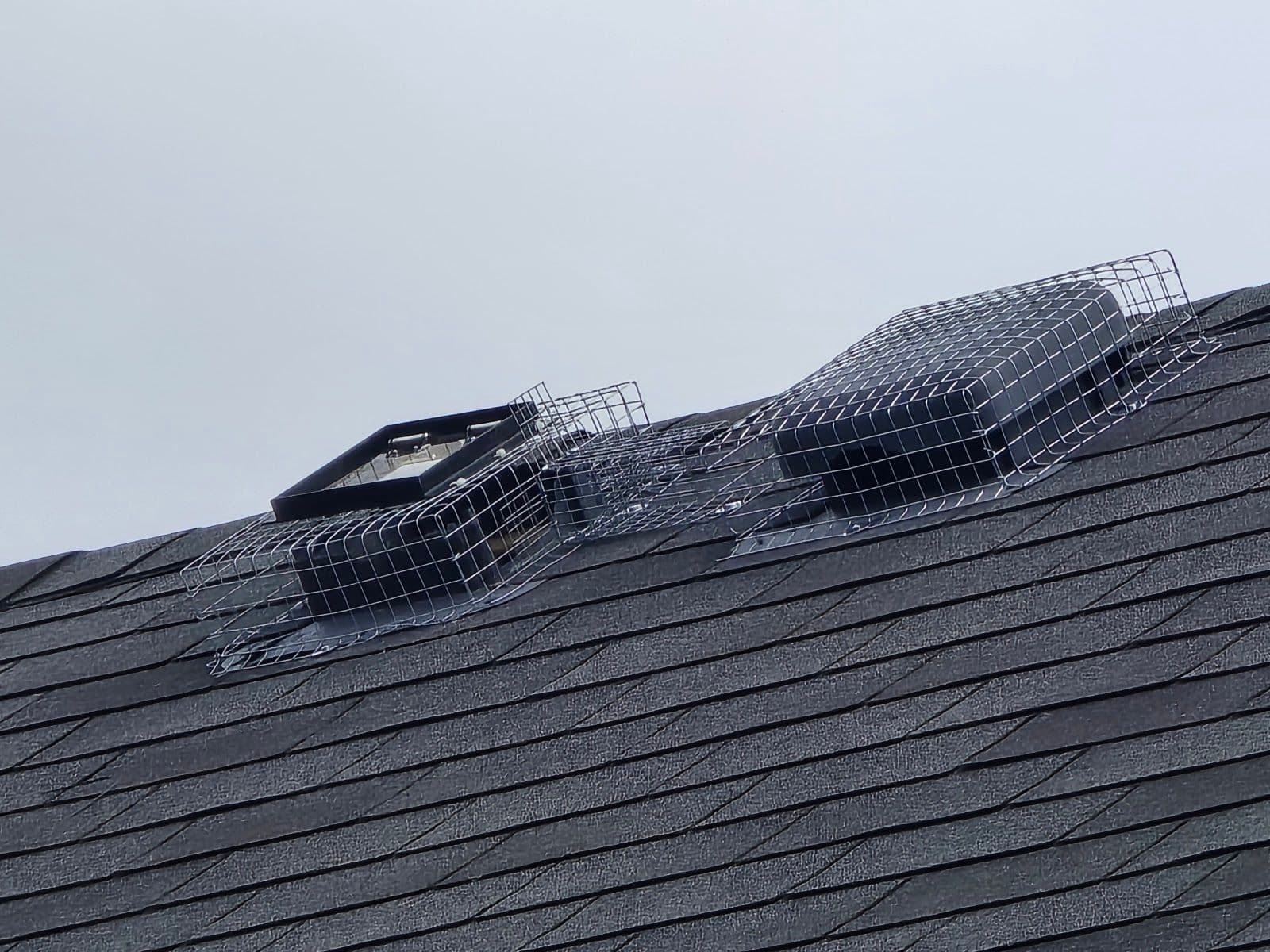 Another guest photo from a Google review at Bug Managers Pest Control