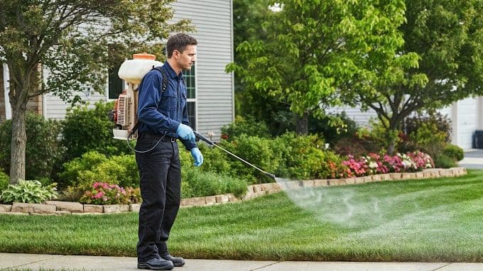 Another guest photo from a Google review at AR Pest Control Mississauga